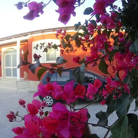 Morghella باكينو